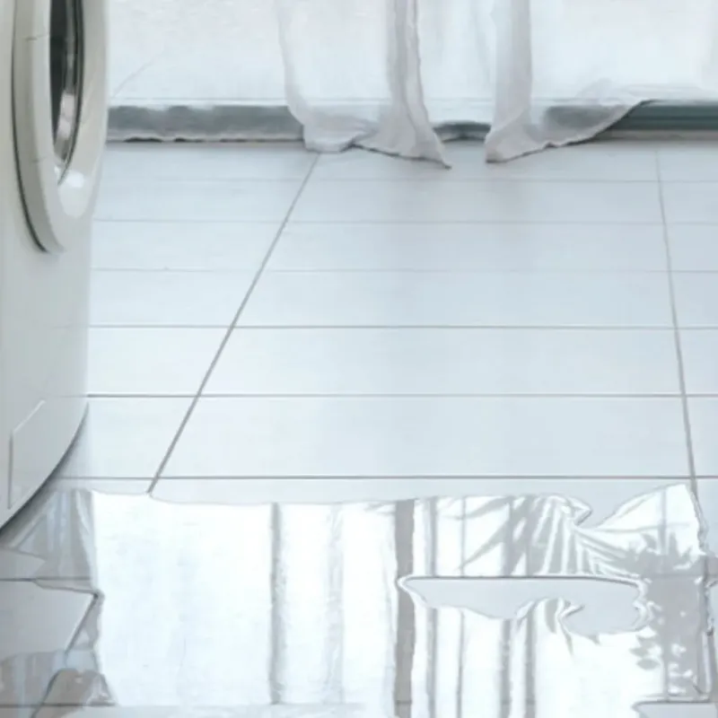 Appliance Leak Cleanup in Princeton, WI