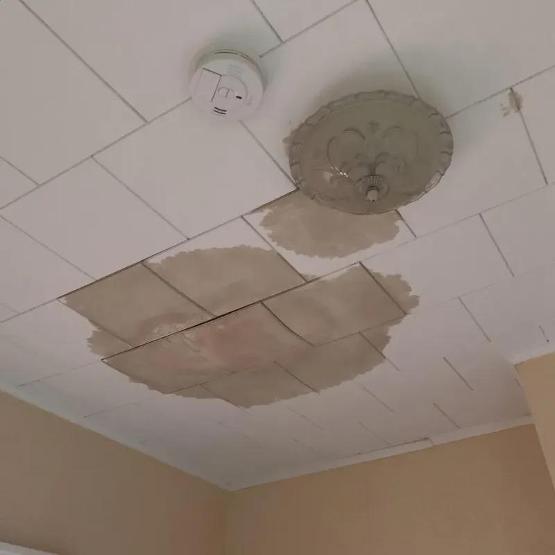Ceiling Water Damage Repair in Princeton, WI
