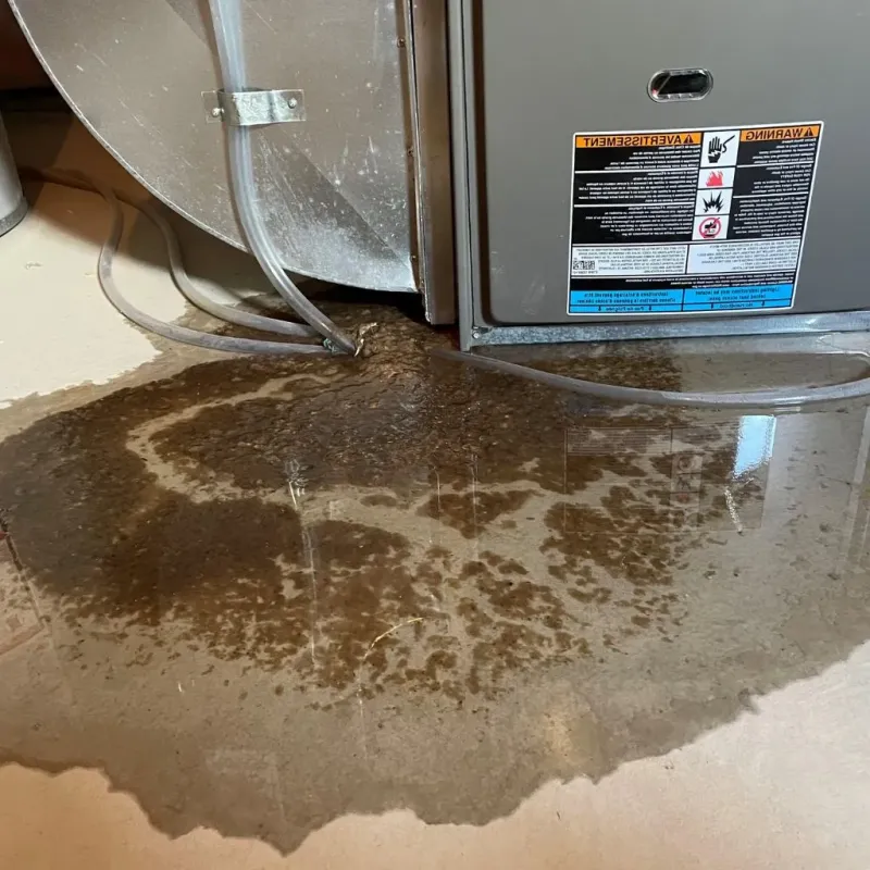 Pipe Burst and Leak Restoration in Princeton, WI